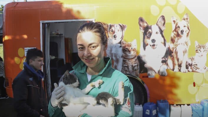 Mutirão para castração de cães e gatos tem 300 vagas disponíveis