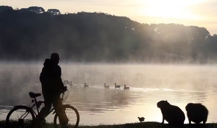 Paraná recebe nova previsão de geadas e de termômetros a 0ºC; veja quando e onde