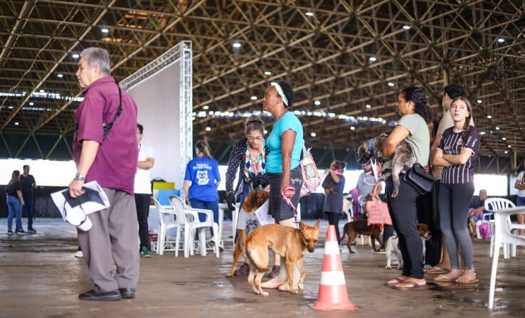 CastraPet vai beneficiar 5,4 mil cães e gatos em maio; agenda começa no feriado