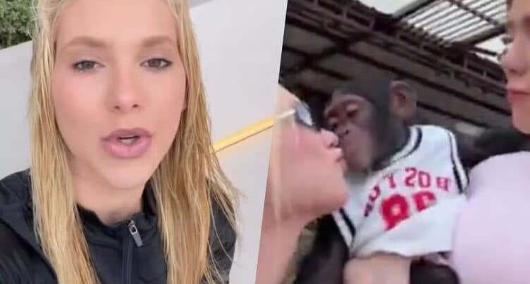 Virginia explica vídeo de beijo em macaco em zoológico: ‘Sempre estive com Vini na luta contra o racismo’
