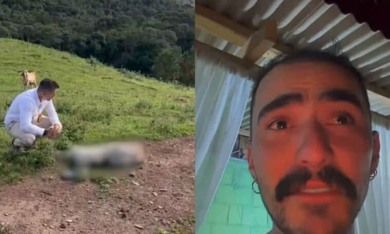 Caso Mayk Leão: polícia investiga morte de cabra do influenciador, violação de propriedade e ameaça