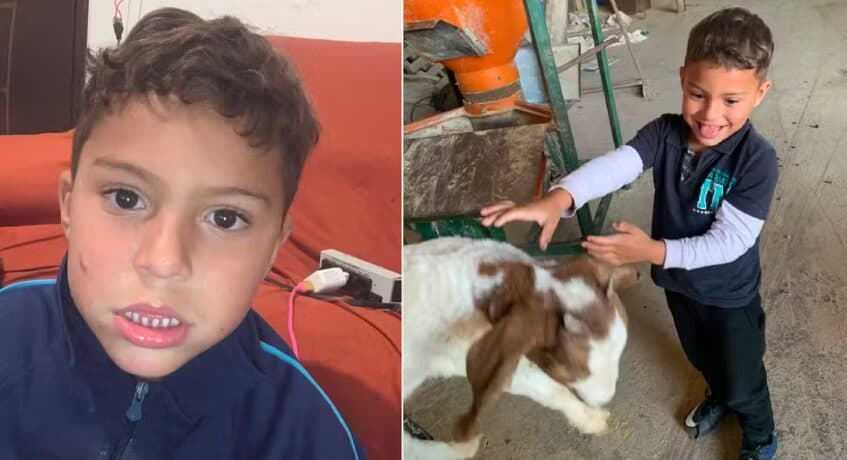 Autista não verbal de 5 anos desaparece em área de mata no Paraná e é procurado pelos bombeiros