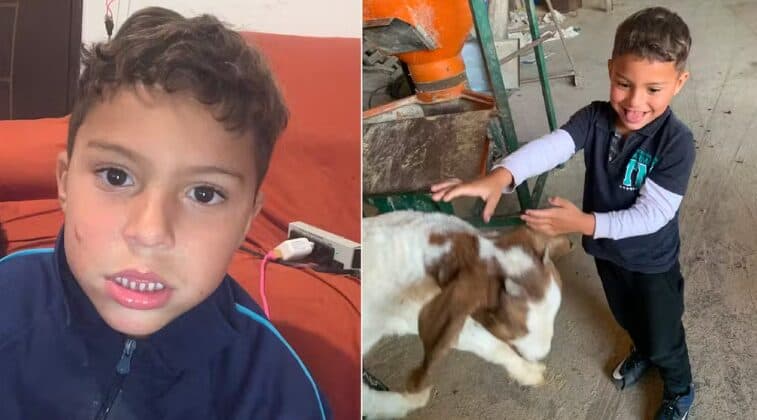 Buscas por criança autista desaparecida acontecem em meio à mata fechada em Araucária
