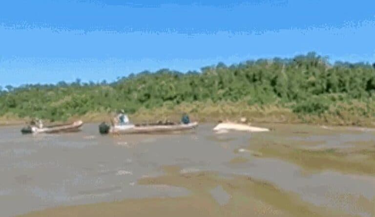 Vídeo mostra barco virado perto das Cataratas do Iguaçu após morte de turista holandês