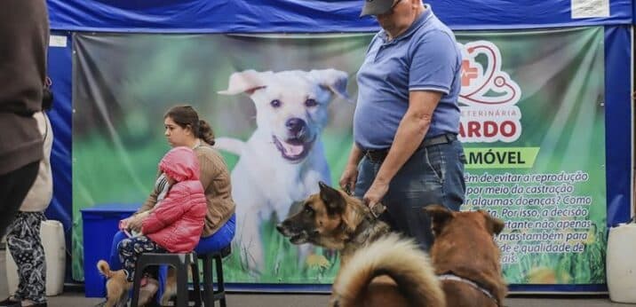 Curitiba tem 4.930 vagas para castrações gratuitas de cães e gatos em três regionais