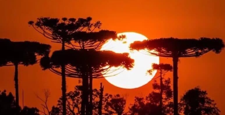 Paraná entra em nova onda de calor; entenda o que significa e veja a previsão do tempo por região