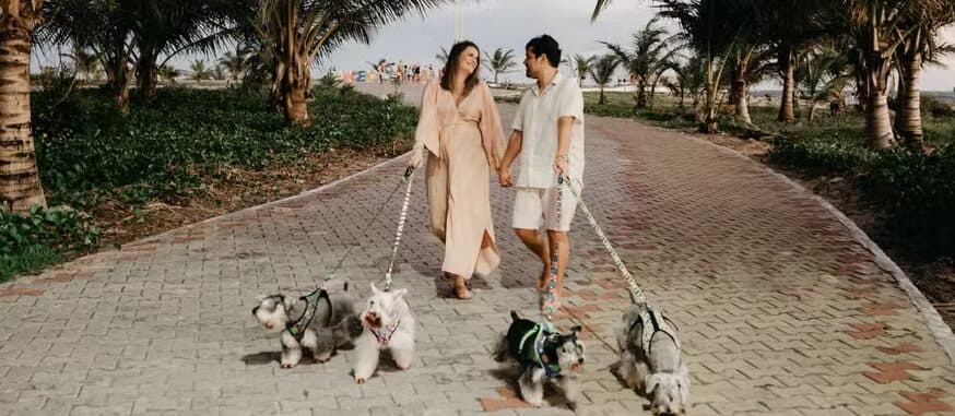 Cães veem os donos como família? O que explica esse vínculo