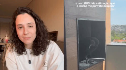 Moradora volta de viagem, encontra ninho de urubu na churrasqueira e descobre que não pode ‘expulsá-lo’ do apartamento