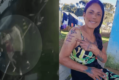 Mulher desaparece após sair de danceteria e é encontrada morta dentro de vala em Curitiba