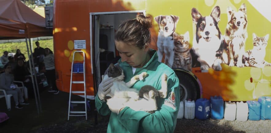 Mutirões oferecem 8.475 vagas para castração gratuita de cães e gatos; saiba como participar