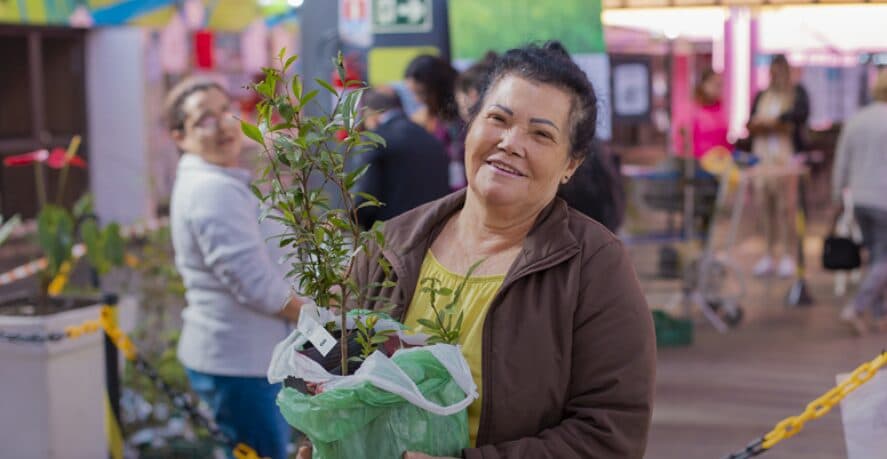 Primavera vai começar com entrega de 12 mil mudas de árvores para a população