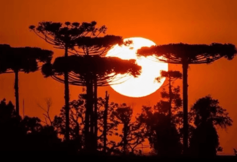 Paraná terá dias de sol e calor antes da chegada de frente fria e novas tempestades; veja previsão do tempo