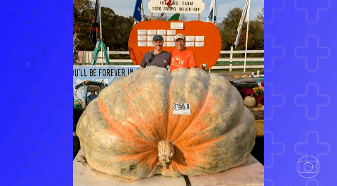 Abóbora de quase 1.500 kg bate recorde mundial e entra para o Guinness; fruto renderia mais de 3 mil tortas