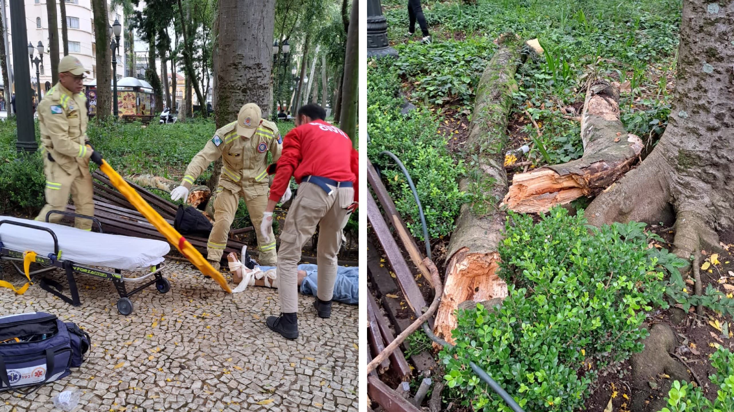 Praça Osório será interditada para obras após quedas de galhos deixarem três feridos, anuncia prefeito de Curitiba