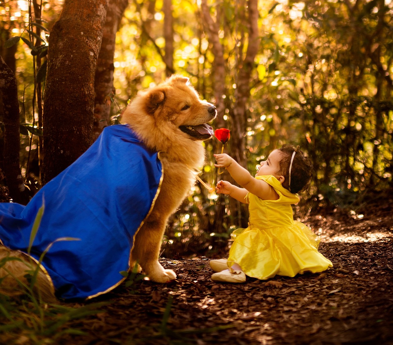 Fotografa Faz Ensaio De A Bela E A Fera Com Bebe E Cachorro 98fm Curitiba Sintonize 98 9